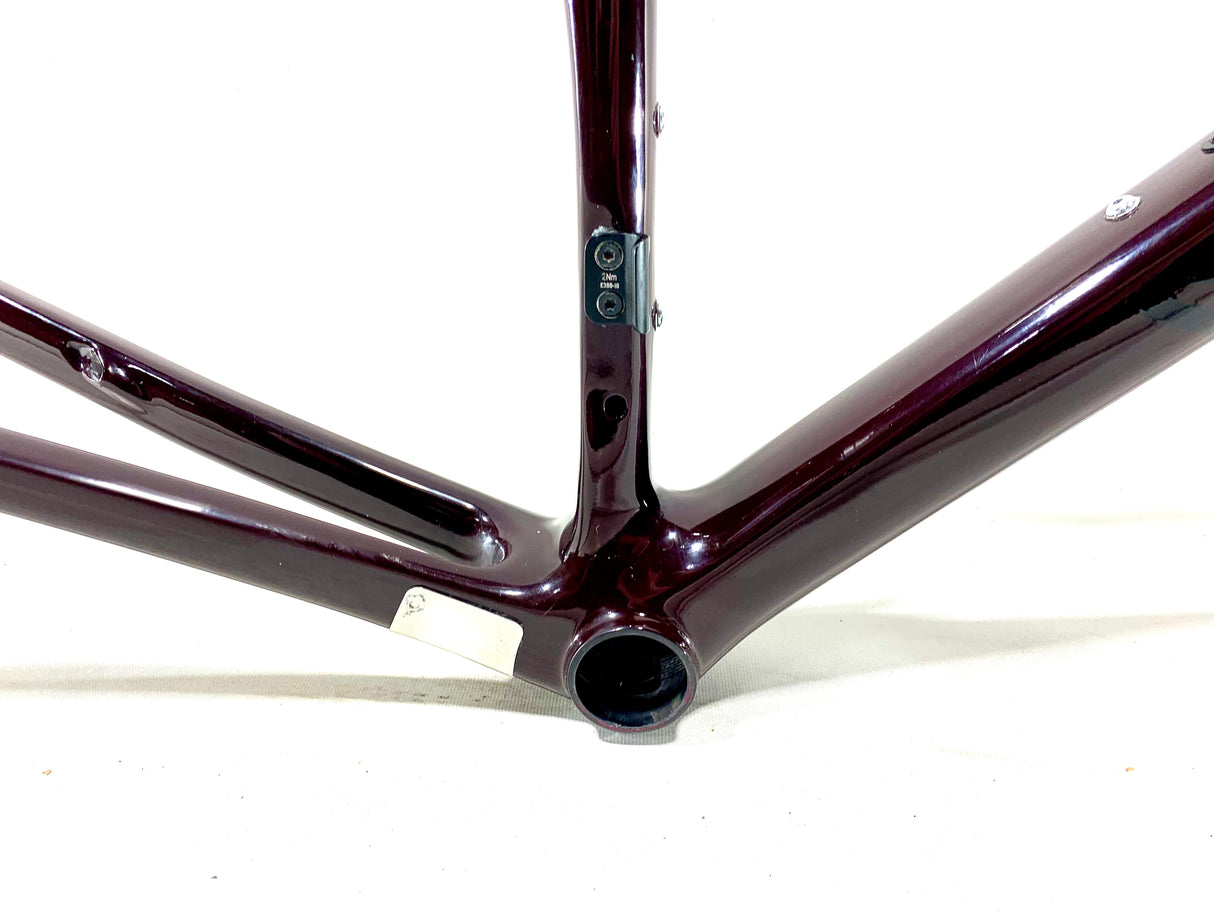 Canyon Endurance CF SLX 9 Carbon Frameset Size: Medium (Preowned)