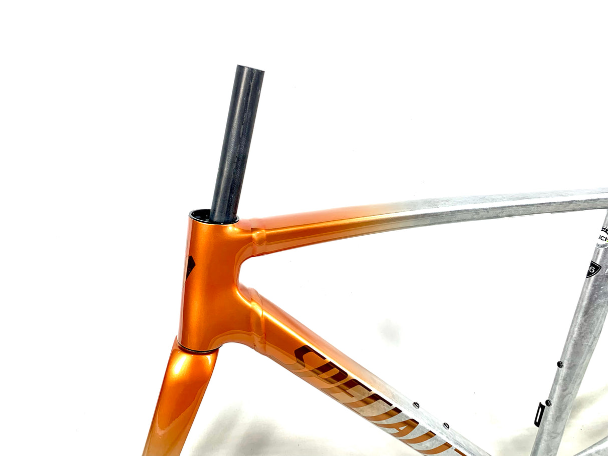 2026 Specialized Allez Sprint Frameset Alloy Size: 56cm (Preowned)