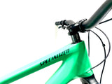 2025 Specialized Stumpjumper 15 Expert 29 SRAM GX AXS 1X12 Size: S5 (Preowned)