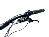 2027 Specialized Turbo Levo Evo 4 Comp Carbon SRAM AXS Eagle Size: S4 (Preowned)