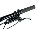 2023 Specialized Turbo Levo SL 2 Expert Carbon Size: S2 (Small)