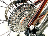 2026 Specialized S-Works Turbo Levo Gen 4 SRAM XX 1X12 Roval Carbon Wheels Size: S4(L)