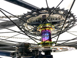 2023 Trek Procaliber 9.6 Hardtail XT/SLX 1X12 Bontrager 29er Alloy Wheels Size: Small