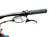 2026 Specialized S-Works Turbo Levo 4 SRAM XX 1X12 Size: S4 (Preowned)