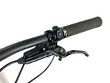 2023 Specialized Turbo Levo Pro Carbon E-Mountain Sram X0 AXS Size: S2 (Small)