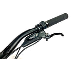 2026 Specialized Turbo Levo SL 2 Expert Sram AXS 1X12 Size: S4 (Preowned)