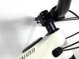 2023 Specialized Turbo Levo SL 2 Expert Carbon Size: S2 (Small) /Gloss Birch