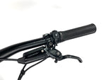 2023 Specialized Turbo Levo SL 2 Expert Carbon Size: S2 (Small) /Gloss Birch