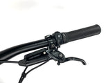 2023 Specialized Turbo Levo SL 2 Expert Carbon Size: S2 (Small) /Gloss Birch