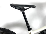 2023 Specialized Turbo Levo SL 2 Expert Carbon Size: S2 (Small) /Gloss Birch