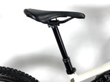 2023 Specialized Turbo Levo SL 2 Expert Carbon Size: S2 (Small) /Gloss Birch