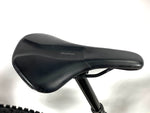 2023 Specialized Turbo Levo SL 2 Expert Carbon Size: S2 (Small) /Gloss Birch