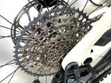 2023 Specialized Turbo Levo SL 2 Expert Carbon Size: S2 (Small) /Gloss Birch