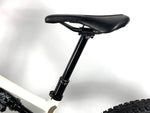 2023 Specialized Turbo Levo SL 2 Expert Carbon Size: S2 (Small) /Gloss Birch
