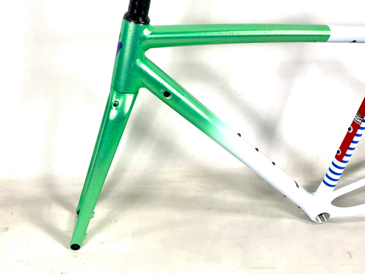 2026 Specialized Crux DSW Frameset - D'Aluisio Smartweld Alloy Size: 54cm (Preowned)