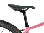 2020 Specialized Chisel Comp HT 29er SRAM SX Eagle 1X12 Stout Alloy Wheels Size: Small