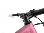 2020 Specialized Chisel Comp HT 29er SRAM SX Eagle 1X12 Stout Alloy Wheels Size: Small