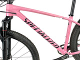2020 Specialized Chisel Comp HT 29er SRAM SX Eagle 1X12 Stout Alloy Wheels Size: Small