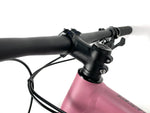 2020 Specialized Chisel Comp HT 29er SRAM SX Eagle 1X12 Stout Alloy Wheels Size: Small