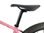2020 Specialized Chisel Comp HT 29er SRAM SX Eagle 1X12 Stout Alloy Wheels Size: Small