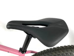 2020 Specialized Chisel Comp HT 29er SRAM SX Eagle 1X12 Stout Alloy Wheels Size: Small