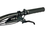2026 Specialized Turbo Levo Gen 4 Pro SRAM X0 AXS Eagle 1X12 Size: S5 (XL)