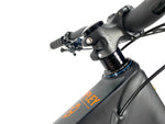 2022 Ibis Ripley V4 Carbon 29er SRAM GX AXS 1X12 Speed Ibis Carbon Wheels Size: Large
