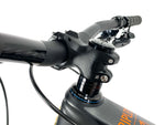 2022 Ibis Ripley V4 Carbon 29er SRAM GX AXS 1X12 Speed Ibis Carbon Wheels Size: Large