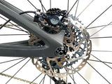 2022 Ibis Ripley V4 Carbon 29er SRAM GX AXS 1X12 Speed Ibis Carbon Wheels Size: Large