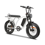 2025 Kasen Kabbit 2.0 Fat Tire E Bike 1000w BaFang Rear Drive Motor 28mph Top Speed