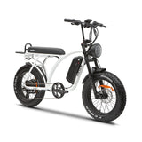 2025 Kasen Kabbit 2.0 Fat Tire E Bike 1000w BaFang Rear Drive Motor 28mph Top Speed