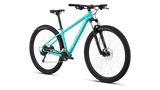 NEW 2026 Specialized Rockhopper 29 Size: Medium